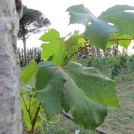 Agriturismo Occhineri ポルト・チェザーレオ エクステリア 写真