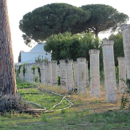 Agriturismo Occhineri ポルト・チェザーレオ エクステリア 写真