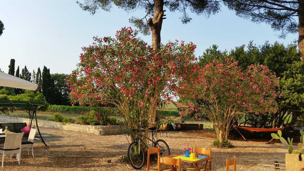 Agriturismo Occhineri ポルト・チェザーレオ エクステリア 写真
