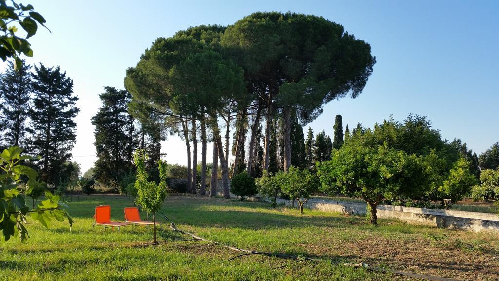 Agriturismo Occhineri ポルト・チェザーレオ エクステリア 写真