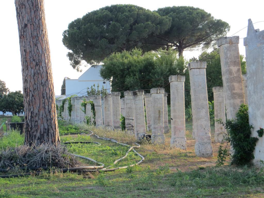 Agriturismo Occhineri ポルト・チェザーレオ エクステリア 写真