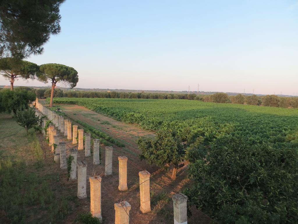 Agriturismo Occhineri ポルト・チェザーレオ エクステリア 写真