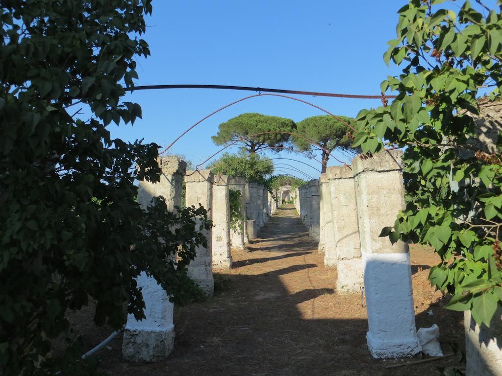Agriturismo Occhineri ポルト・チェザーレオ エクステリア 写真